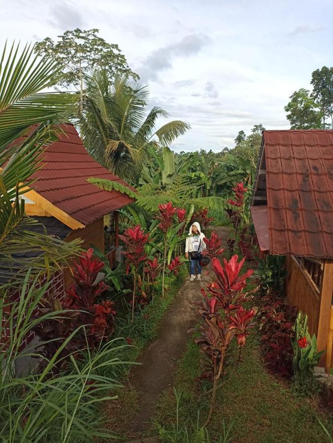 Wina Wani Bungalows Tetebatu Exterior photo