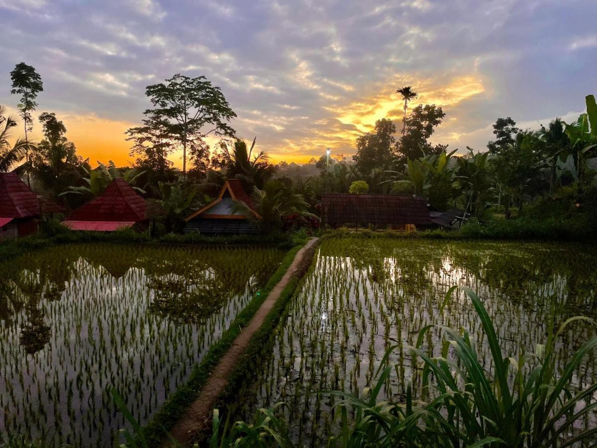 Wina Wani Bungalows Tetebatu Exterior photo