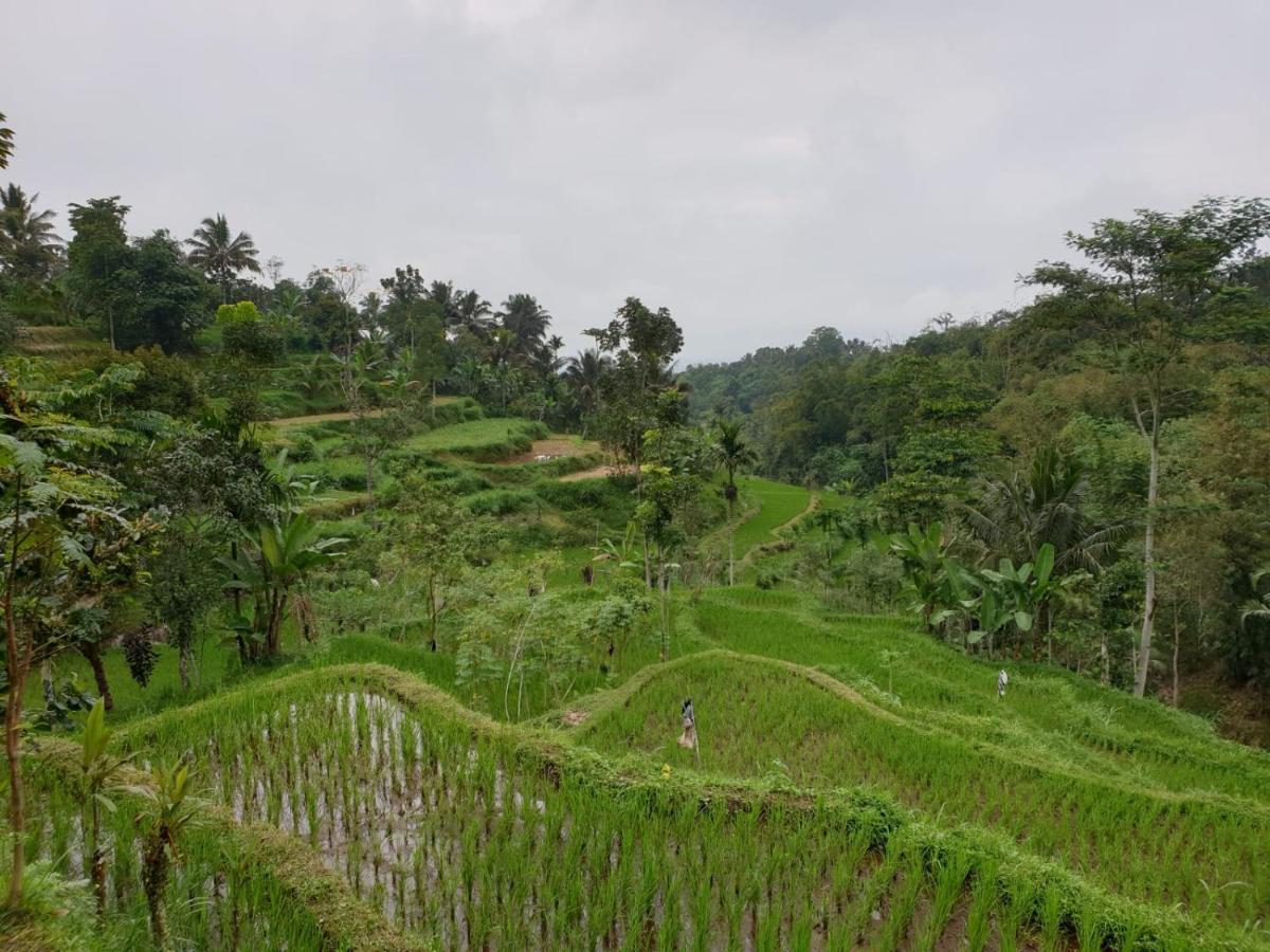 Wina Wani Bungalows Tetebatu Exterior photo